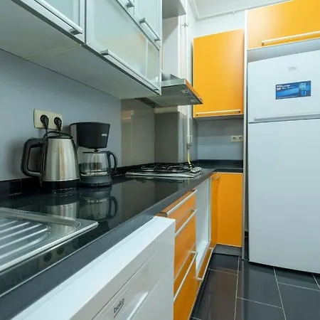 High-ceiling Three-bedroom Apartment Istanbul